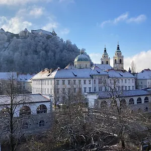 Rohrmann Ljubljana
